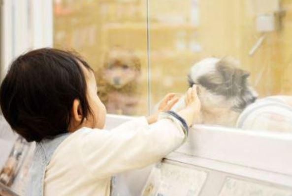 スーパービバホーム長久手店のアルバイト・バイト求人情報-02