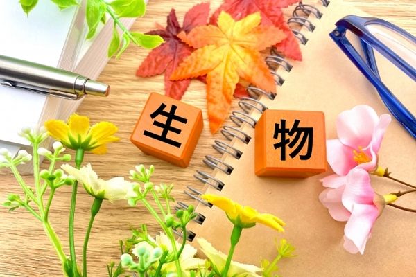 株式会社イストの求人・転職情報