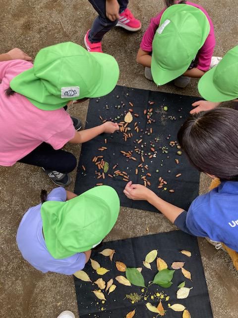 社会福祉法人ねりま共育ちの会の求人・転職情報