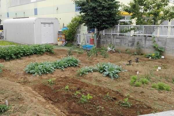 社会福祉法人 愛和福祉会のアルバイト・バイト求人情報-04