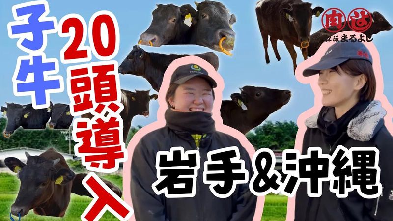 株式会社まるよしの求人・転職情報