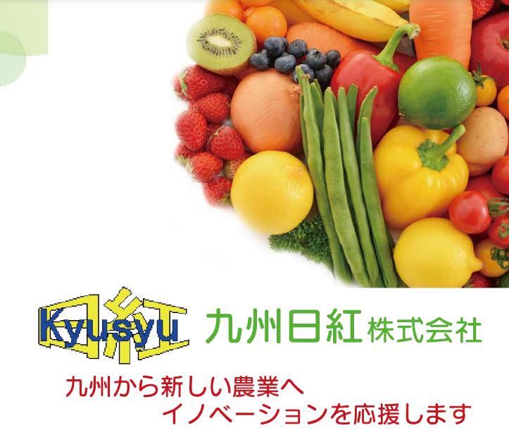 九州日紅株式会社の求人・転職情報