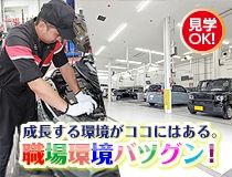 ライフブリッジ株式会社大阪オフィスの求人情報