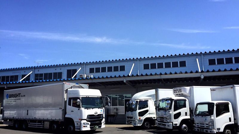 株式会社ブライトの求人・転職情報