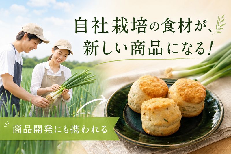 Globeing合同会社-0003の求人・転職情報
