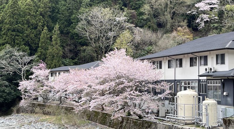 株式会社メディカルケア飛鳥-0009の求人・転職情報