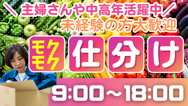 株式会社スタッフNEO