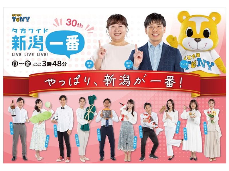 株式会社テレビ新潟放送網