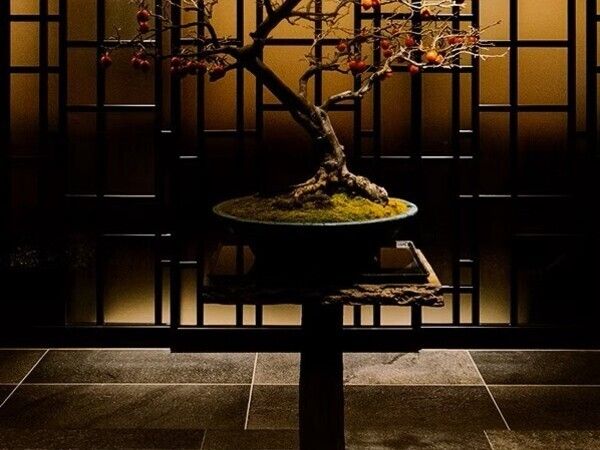 株式会社ウェルファム　まとい銀座の求人・転職情報