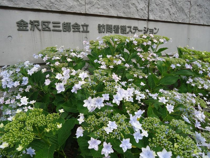 一般社団法人金沢区三師会の求人・転職情報