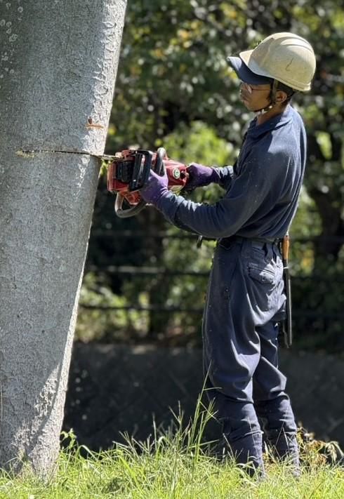 Ｊ-ＭＩＮＤ株式会社の求人・転職情報
