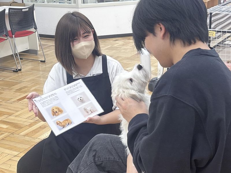 求人画像