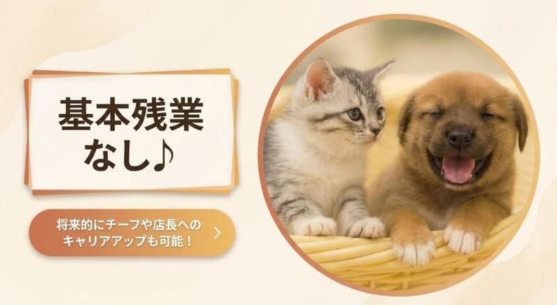 有限会社　アークスの求人・転職情報