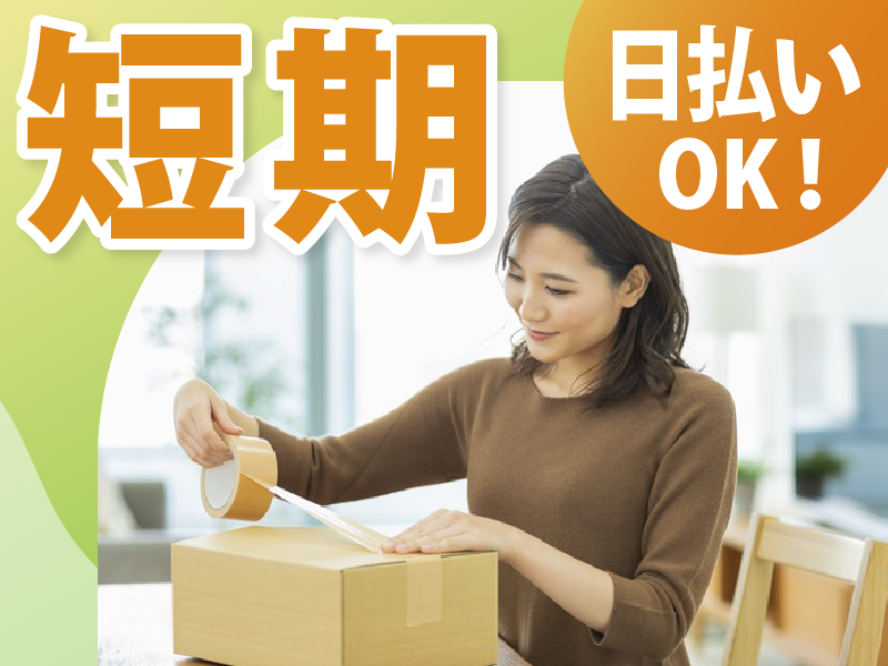 株式会社LIAスタッフィング　川崎市中区/KNGKS1000