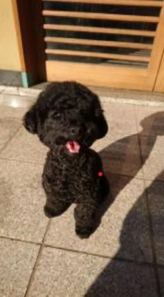 株式会社ミザック(事務所)のアルバイト・バイト求人情報-02