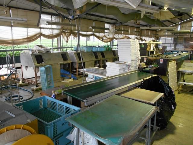 有限会社浜名ファームのアルバイト・バイト求人情報-04