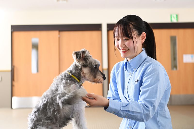 学校法人爽青会-0004の求人・転職情報
