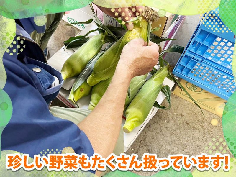 川崎青果株式会社の求人情報