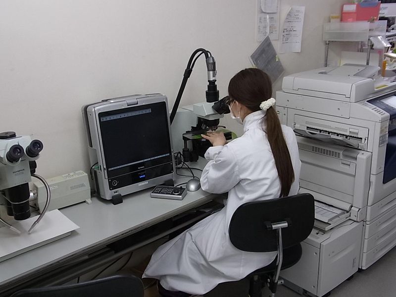 イカリ消毒株式会社　科学分析グループのアルバイト・バイト求人情報-03