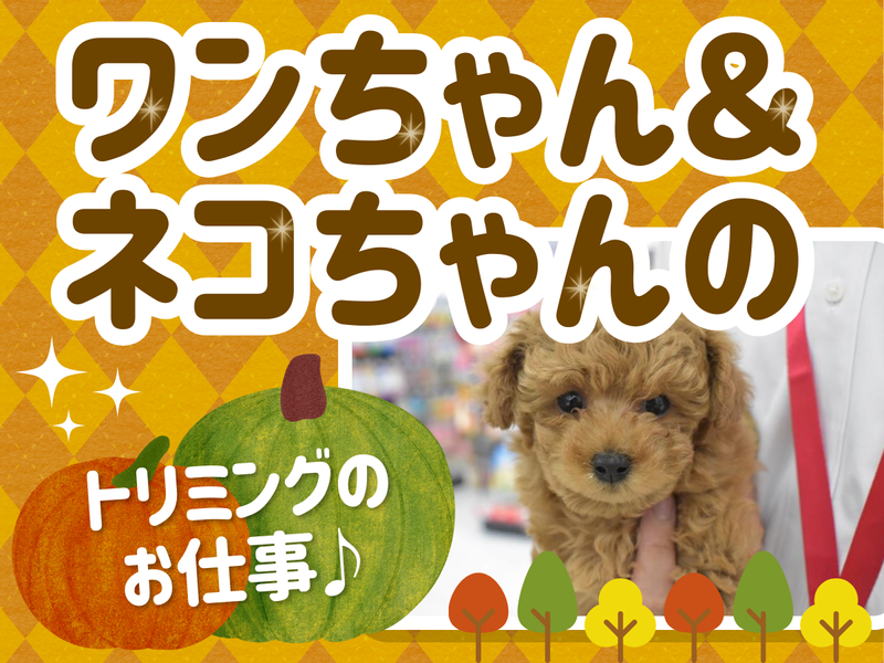 ワンラブ　埼玉寄居店のアルバイト・バイト求人情報-02