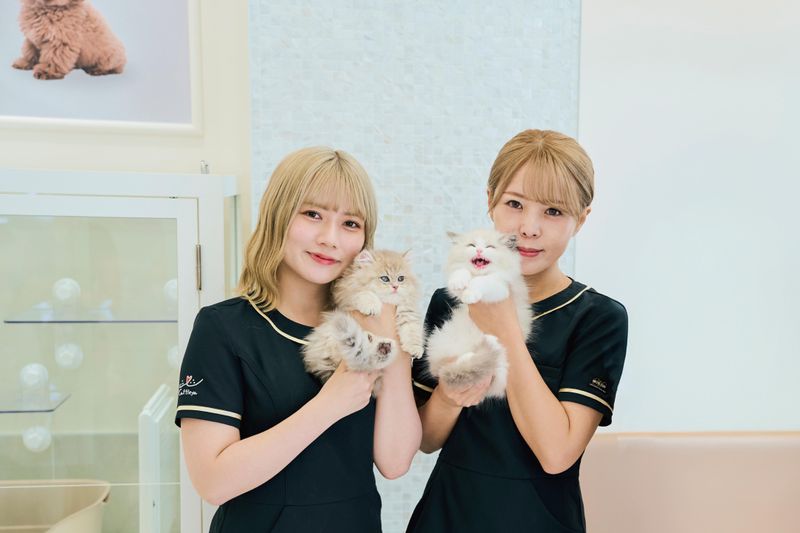 Cattleya表参道店のアルバイト・バイト求人情報-06