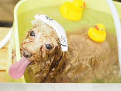 Pet's One 木津川店のアルバイト・バイト求人情報-03