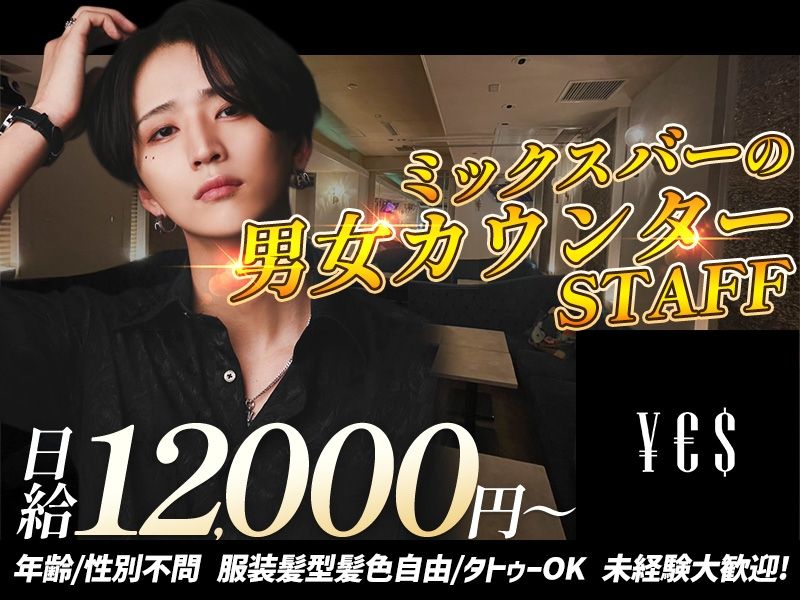 BAR YESの派遣求人情報