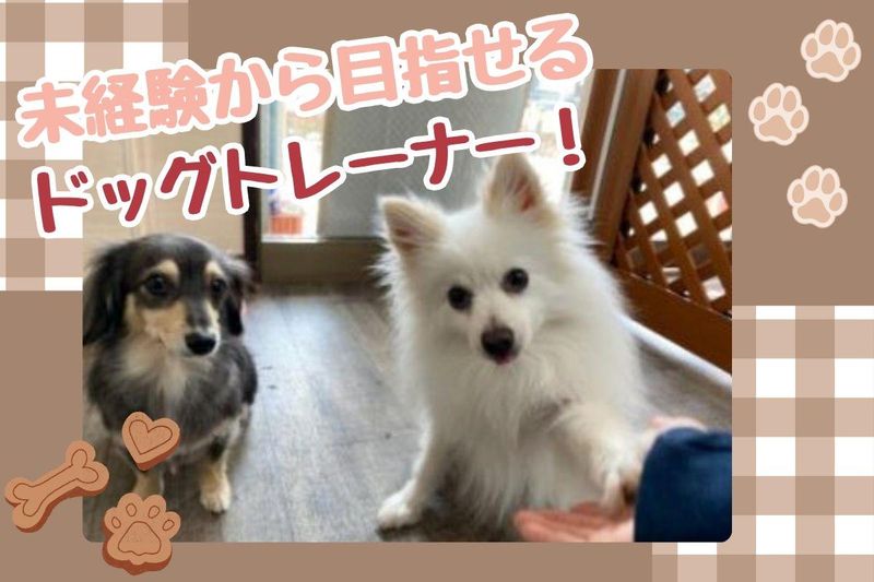 株式会社プレイボゥの求人・転職情報