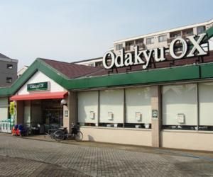 Odakyu OX IX