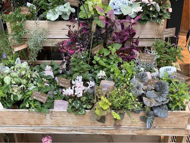 花手紙　Hanadayoriのアルバイト・バイト求人情報-03