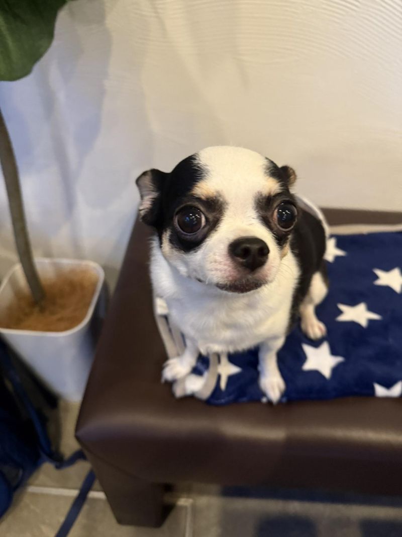 SUZUMARU Cafe&Dinning barのアルバイト・バイト求人情報-03