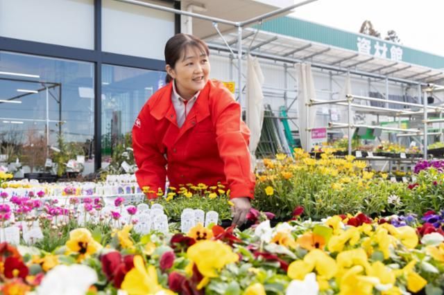コメリハード&グリーン植木店のアルバイト・バイト求人情報-03