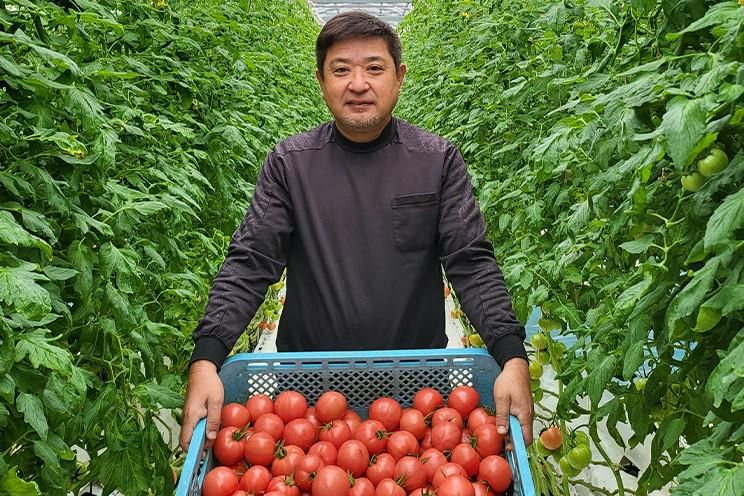 中村トマト農園のアルバイト・バイト求人情報