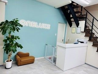株式会社ガイズプロモーションの求人・転職情報