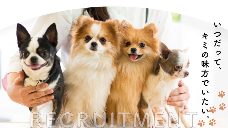 おさむら動物病院株式会社の求人・転職情報