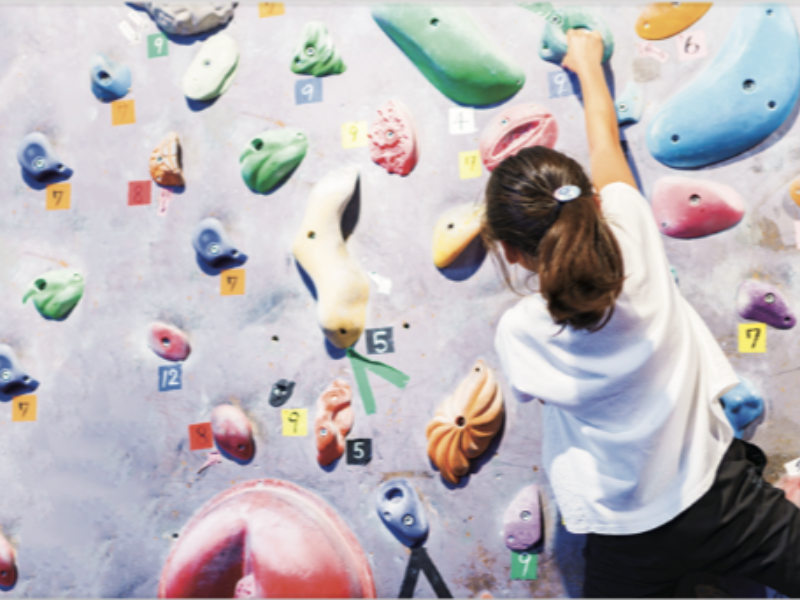 株式会社ヒューマンキャピタル研究所のアルバイト・バイト求人情報-04