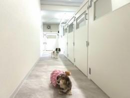 ONE株式会社　ワンルーク 大阪住吉区東田辺店のアルバイト・バイト求人情報-05