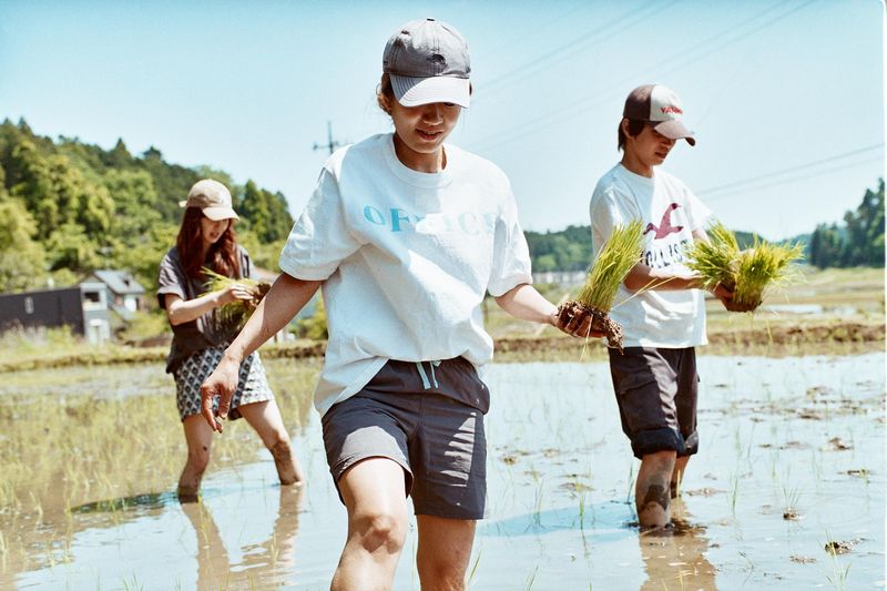 ふ定食屋のアルバイト・バイト求人情報-05