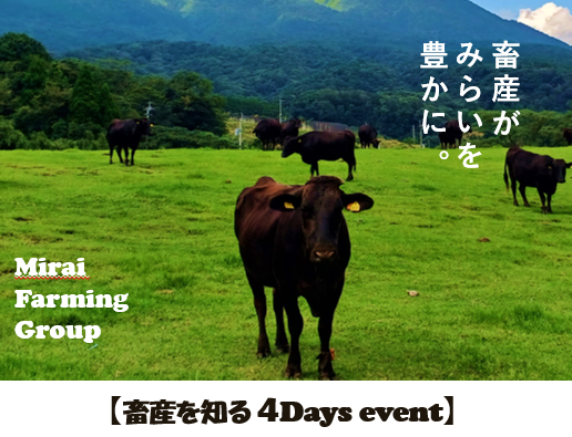【九州】8月下旬開催 畜産のお仕事体験4days