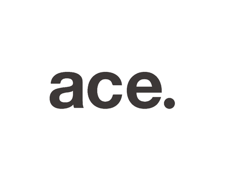エース株式会社の求人・転職情報