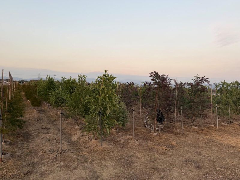 進興農園の派遣求人情報