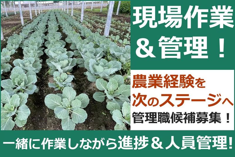株式会社エコ革の求人・転職情報