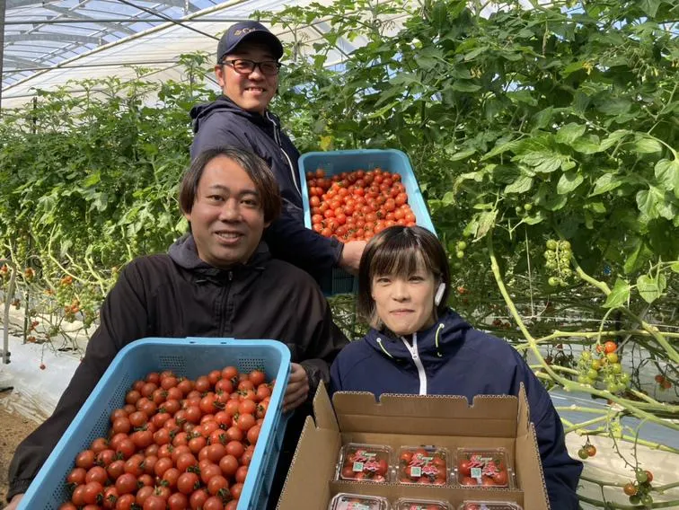 小川農園　ミニトマトハウスのアルバイト・バイト求人情報