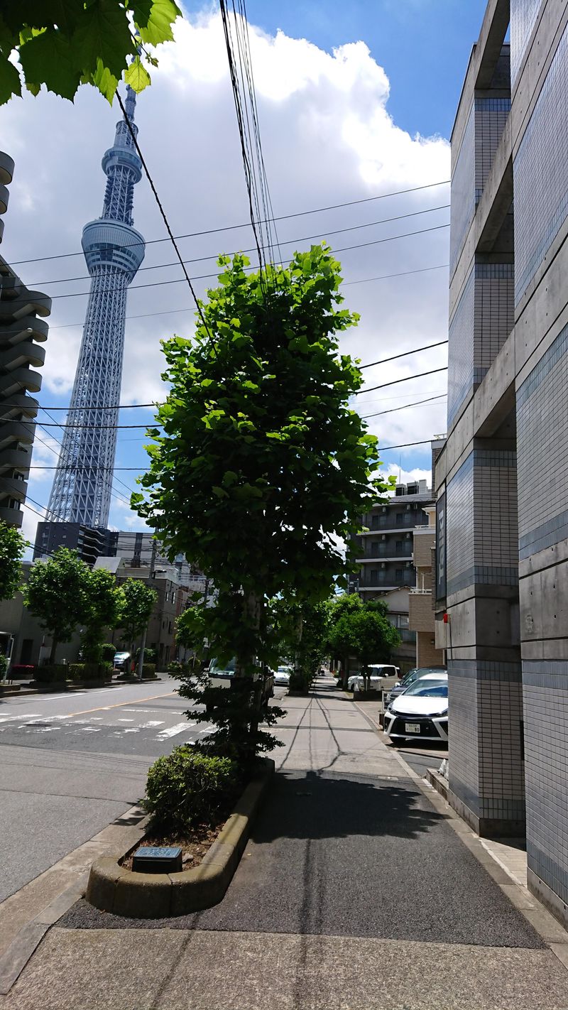 タイキ株式会社の求人・転職情報