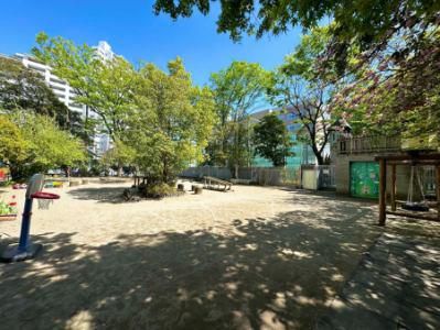 江東区白河かもめ保育園の派遣求人情報