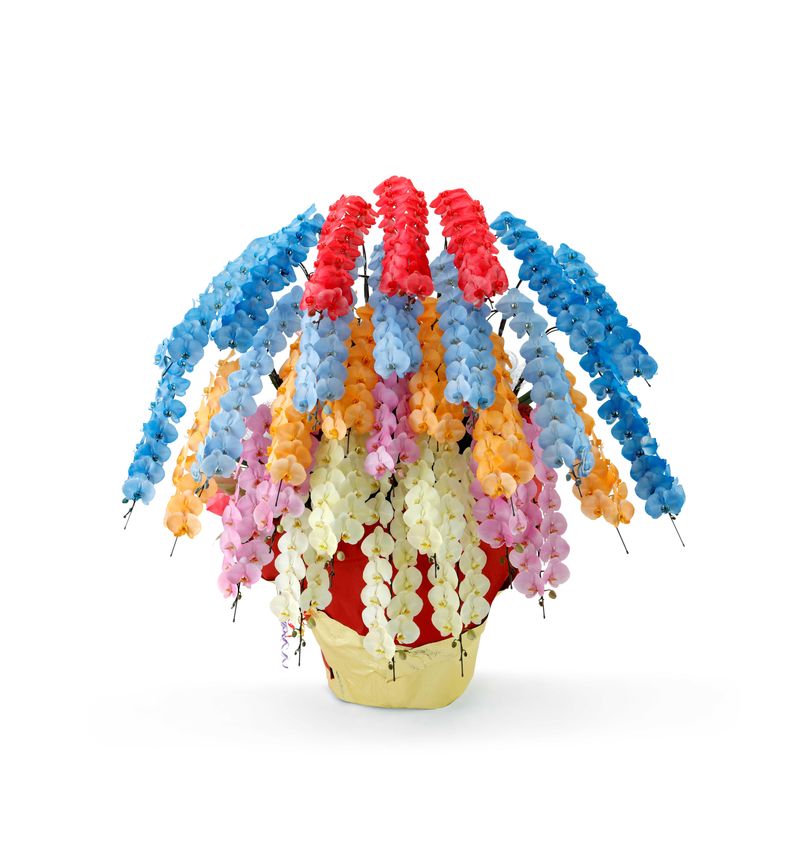 株式会社リーフの求人・転職情報