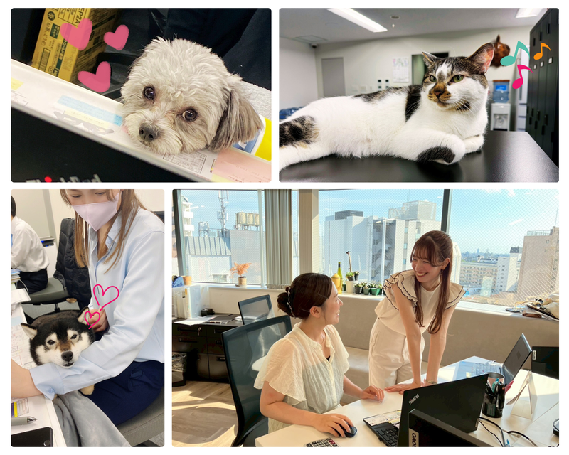 株式会社翔栄　企画事業部のアルバイト・バイト求人情報-05