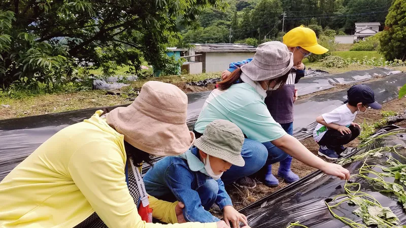 求人画像