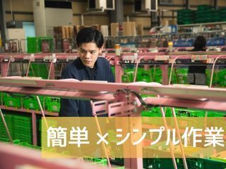 中部興産株式会社 多治見HC物流センターのアルバイト・バイト求人情報-03