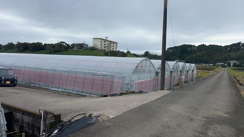 蔵田農園のアルバイト・バイト求人情報-02